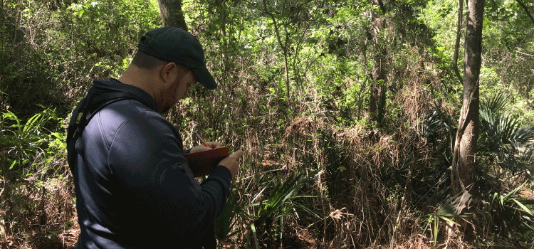 Upcoming bird outreach events featuring Joel Borden